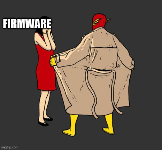 flashing_the_firmware.jpg